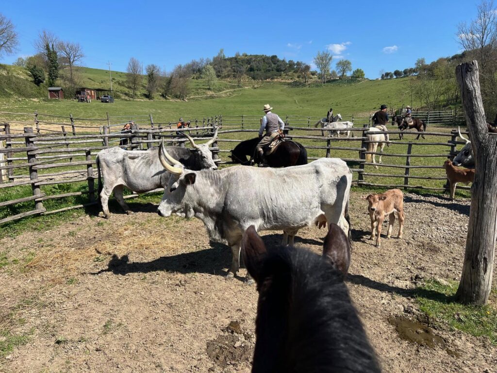 e250a7bd-0af3-4707-84f1-4db7d8755542